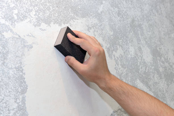 Best Biohazard Mold Removal  in Pana, IL