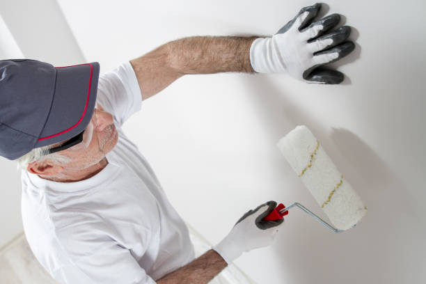 Best Mold Removal for HVAC Installations  in Pana, IL