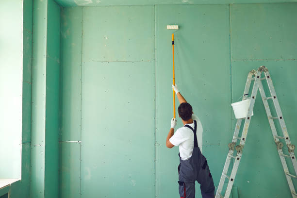Best Mold Documentation for Insurance Claims  in Pana, IL