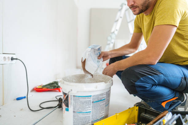 Best Environmental Consulting for Mold Prevention  in Pana, IL