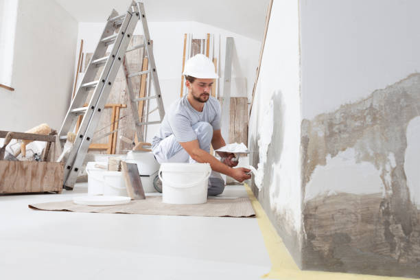 Dehumidification Services in Pana, IL