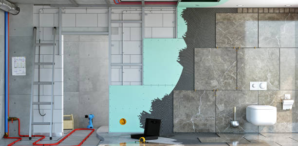 Best Black Mold Removal  in Pana, IL
