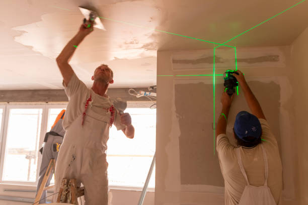 Best Industrial Mold Remediation  in Pana, IL