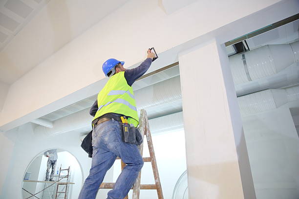 Best Mold Odor Removal Services  in Pana, IL