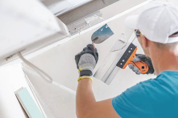 Best Attic Mold Removal  in Pana, IL